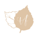 LOGO-VERFEUILLE_feuille